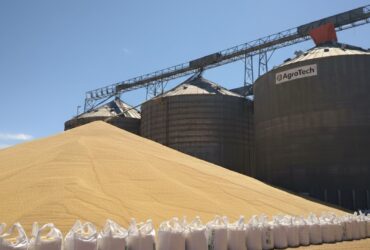 Soja a céu aberto em Mtato Grosso