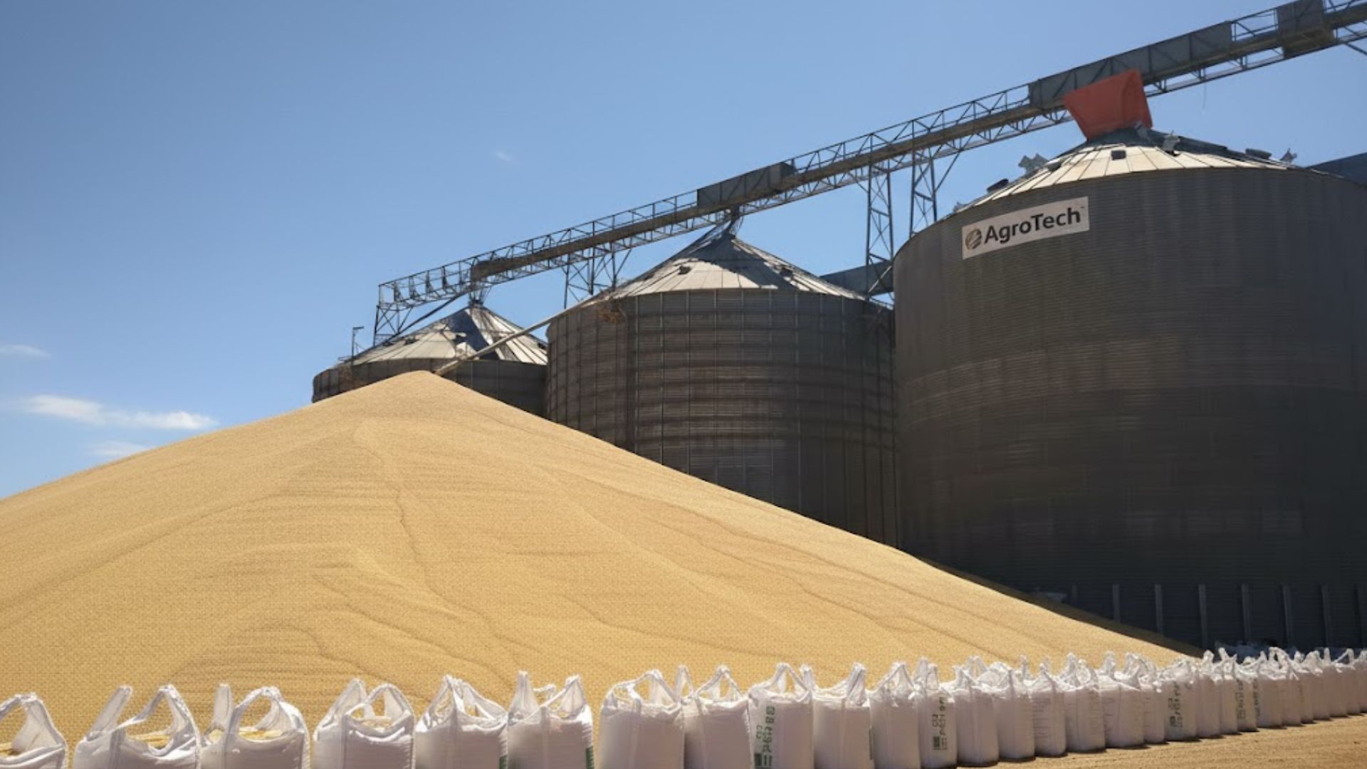 Soja a céu aberto em Mtato Grosso