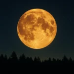 Qual a fase da Lua hoje? Saiba o que esperar do céu nesta segunda-feira, 16 de fevereiro de 2026