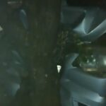 Mulher foi socorrida por terceiros e levada a uma unidade de saúde; impacto destruiu a parte frontal do carro e acionou airbags