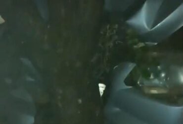 Mulher foi socorrida por terceiros e levada a uma unidade de saúde; impacto destruiu a parte frontal do carro e acionou airbags