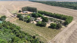 CAT Sorriso recebe reconhecimento nacional do MAPA por boas práticas agrícolas