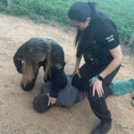 Raimundo Nonato dos Santos, que matou a ex-esposa a golpes de faca, foi capturado nesta quinta-feira (30) em área de mata com apoio do helicóptero do Ciopaer; crime chocou a cidade e reacendeu alerta sobre violência doméstica.