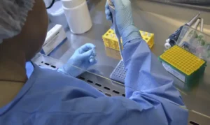 Brasil registra 17 casos confirmados de intoxicação por metanol após consumo de bebidas adulteradas