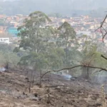 Estiagem prolongada ameaça atrasar período chuvoso em São Paulo