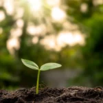 Crédito sustentável