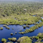 Clima em foco com boleto gigante que cobra países ricos na Paulista