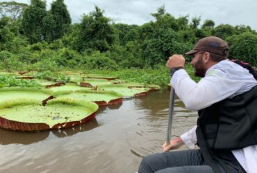 COP Pantanal estreia em Mato Grosso com foco no clima