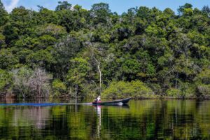 Em 2025, desmatamento tem redução de 11,08% na Amazônia e 11,49% no Cerrado - Divulgação/MMA