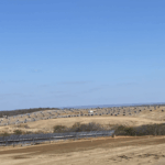 Energia limpa ganha novas usinas fotovoltaicas no centro do Rio Grande do Norte - Divulgação/MME