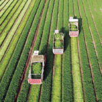 Estoque de LCA chega a R$ 608 bilhões em setembro