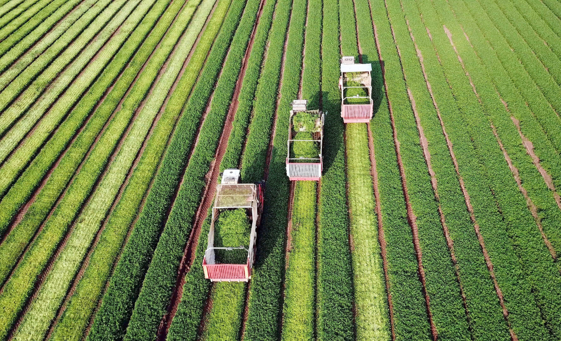Estoque de LCA chega a R$ 608 bilhões em setembro