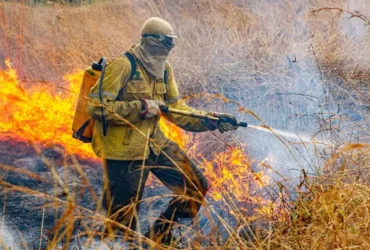 Incêndio volta a atingir Chapada dos Veadeiros após raios provocarem novo foco de fogo