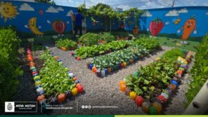 Educação nutricional em foco: Programa de mini hortas transforma escolas e promove sustentabilidade em Nova Mutum
