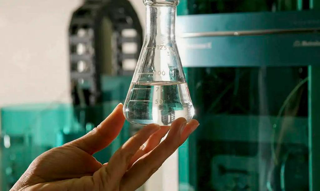 Apesar de não haver registros no Estado, comunicado do Cievs reforça a importância da notificação imediata de casos suspeitos e orienta profissionais de saúde sobre protocolos de diagnóstico e tratamento.