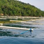 Ministério da Pesca e Aquicultura altera regras para cessão de uso de Águas da União -