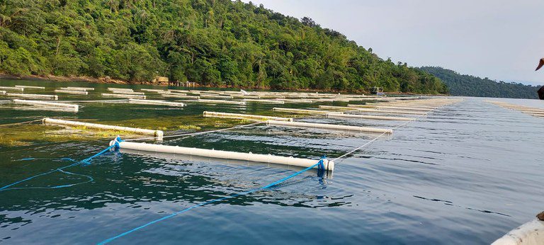 Ministério da Pesca e Aquicultura altera regras para cessão de uso de Águas da União -