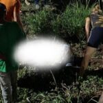 O motorista da picape teve apenas escoriações leves. No entanto, ao realizar o teste do bafômetro, o resultado apontou 0,85 miligramas de álcool por litro de ar expelido, valor mais que o dobro do limite permitido por lei.