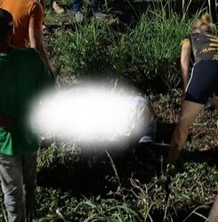 O motorista da picape teve apenas escoriações leves. No entanto, ao realizar o teste do bafômetro, o resultado apontou 0,85 miligramas de álcool por litro de ar expelido, valor mais que o dobro do limite permitido por lei.