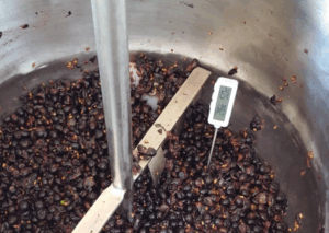 Processo com leveduras nativas melhorando a qualidade dos vinhos Syrah no Semiárido