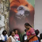 Cop30 debate financiamento, transição energética e adaptação climática