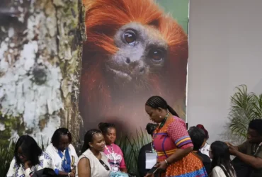 Cop30 debate financiamento, transição energética e adaptação climática
