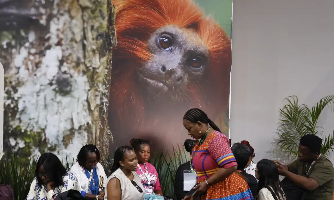 Cop30 debate financiamento, transição energética e adaptação climática