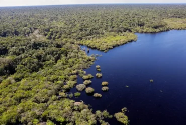 Amazônia ganha foco exclusivo no quarto leilão do Eco Invest