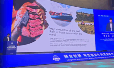 China conhece Passaporte Verde, programa pioneiro de MT de monitoramento socioambiental do rebanho