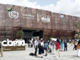 Cop30 apresenta avanços com pacote de Belém