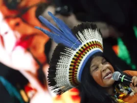 Ministra anuncia novas portarias de demarcação indígena no Brasil