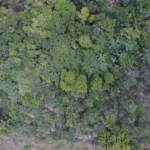 Exposição destaca histórias de vida nos biomas brasileiros