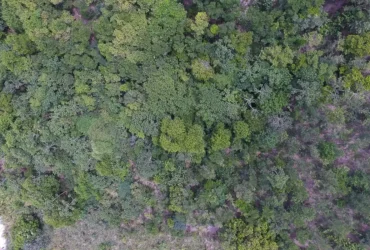 Exposição destaca histórias de vida nos biomas brasileiros