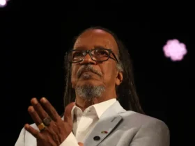 Avanços e desafios da igualdade racial no Brasil segundo Palmares