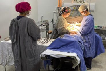 3a72543e8e45be37c9610d6d1033c1a4-1024x