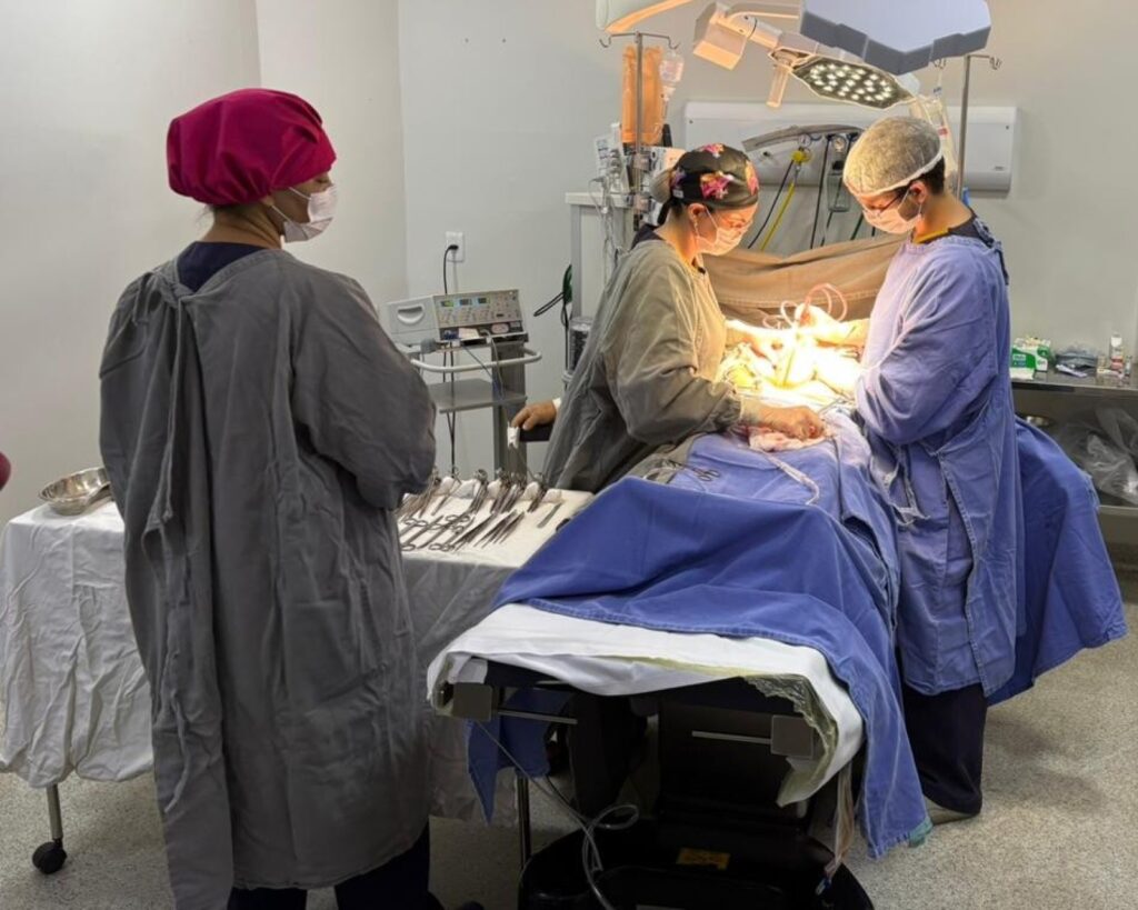 3a72543e8e45be37c9610d6d1033c1a4-1024x