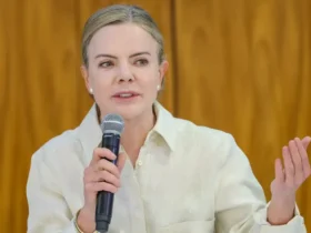 Licenciamento ambiental volta ao centro do debate após derrubada de vetos