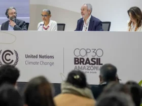 COP30 registra avanços e limites nas negociações climáticas