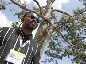 África exige protagonismo real nas negociações climáticas da COP30