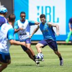 Botafogo x Grêmio: onde assistir, escalações e tudo sobre o duelo decisivo no Nilton Santos. Imagem: Lucas Uebel/GFBPA