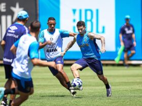 Botafogo x Grêmio: onde assistir, escalações e tudo sobre o duelo decisivo no Nilton Santos. Imagem: Lucas Uebel/GFBPA
