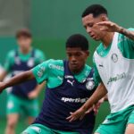 Palmeiras x Vitória: Onde assistir ao vivo e tudo sobre o duelo no Allianz Parque. Imagem: Cesar Greco/Palmeiras