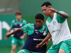 Palmeiras x Vitória: Onde assistir ao vivo e tudo sobre o duelo no Allianz Parque. Imagem: Cesar Greco/Palmeiras