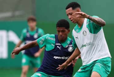 Palmeiras x Vitória: Onde assistir ao vivo e tudo sobre o duelo no Allianz Parque. Imagem: Cesar Greco/Palmeiras