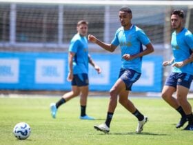 Grêmio x Palmeiras: onde assistir, escalações e o clima tenso no duelo da 36ª rodada do Brasileirão. Imagem: Lucas Uebel/GFBPA