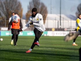 Borussia Dortmund x Villarreal: onde assistir e tudo sobre o confronto pela Champions. Imagem: Divulgação Borussia Dortmund