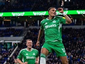 Newcastle x Tottenham: onde assistir, escalações e o que esperar do duelo pela Premier League. Imagem: Divulgação Newcastle