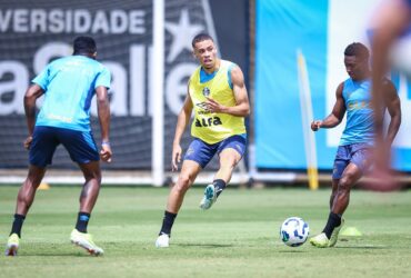Grêmio x Fluminense: onde assistir, escalações e tudo sobre o duelo decisivo do Brasileirão. Imagem: Lucas Uebel/GFBPA