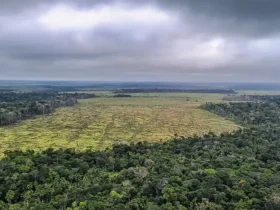 Licenciamento ambiental em foco com governo defendendo manutenção de vetos