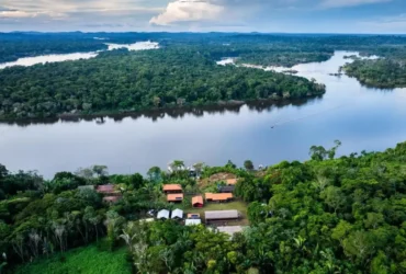 Amazônia recebe investimento de R$ 81,2 milhões para ampliar ações sustentáveis no Pará
